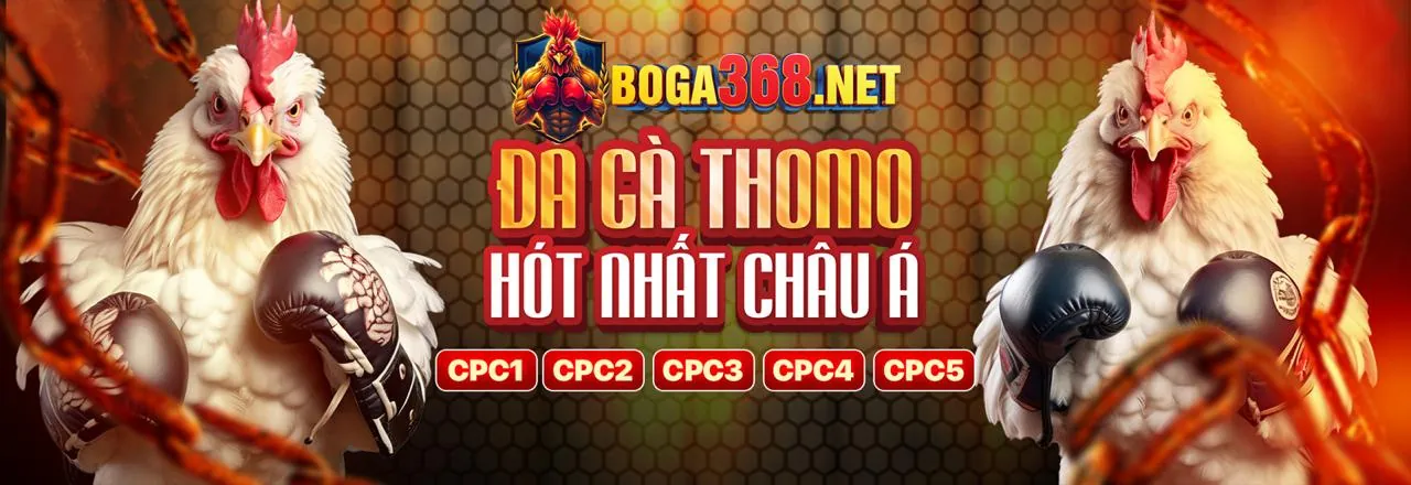 Sân vận động với trận đấu bóng đá đang diễn ra, ánh đèn rực rỡ tượng trưng cho cá cược thể thao trực tiếp tại jjun88